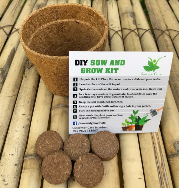 DIY Home Gardening 4 Greens Kit | Mint + Coriander + Italian Basil + Spinach