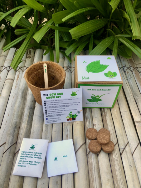 DIY Home Gardening 4 Greens Kit | Mint + Coriander + Italian Basil + Spinach
