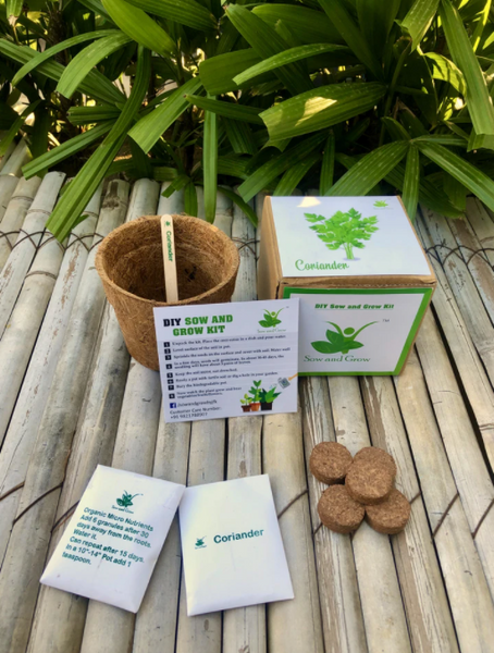 DIY Home Gardening 4 Greens Kit | Mint + Coriander + Italian Basil + Spinach