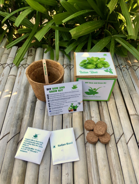 DIY Home Gardening 4 Greens Kit | Mint + Coriander + Italian Basil + Spinach