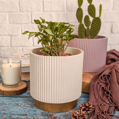 Small Fluted Planter With Base