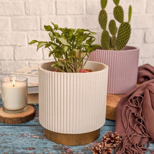Small Fluted Planter With Base - Beige