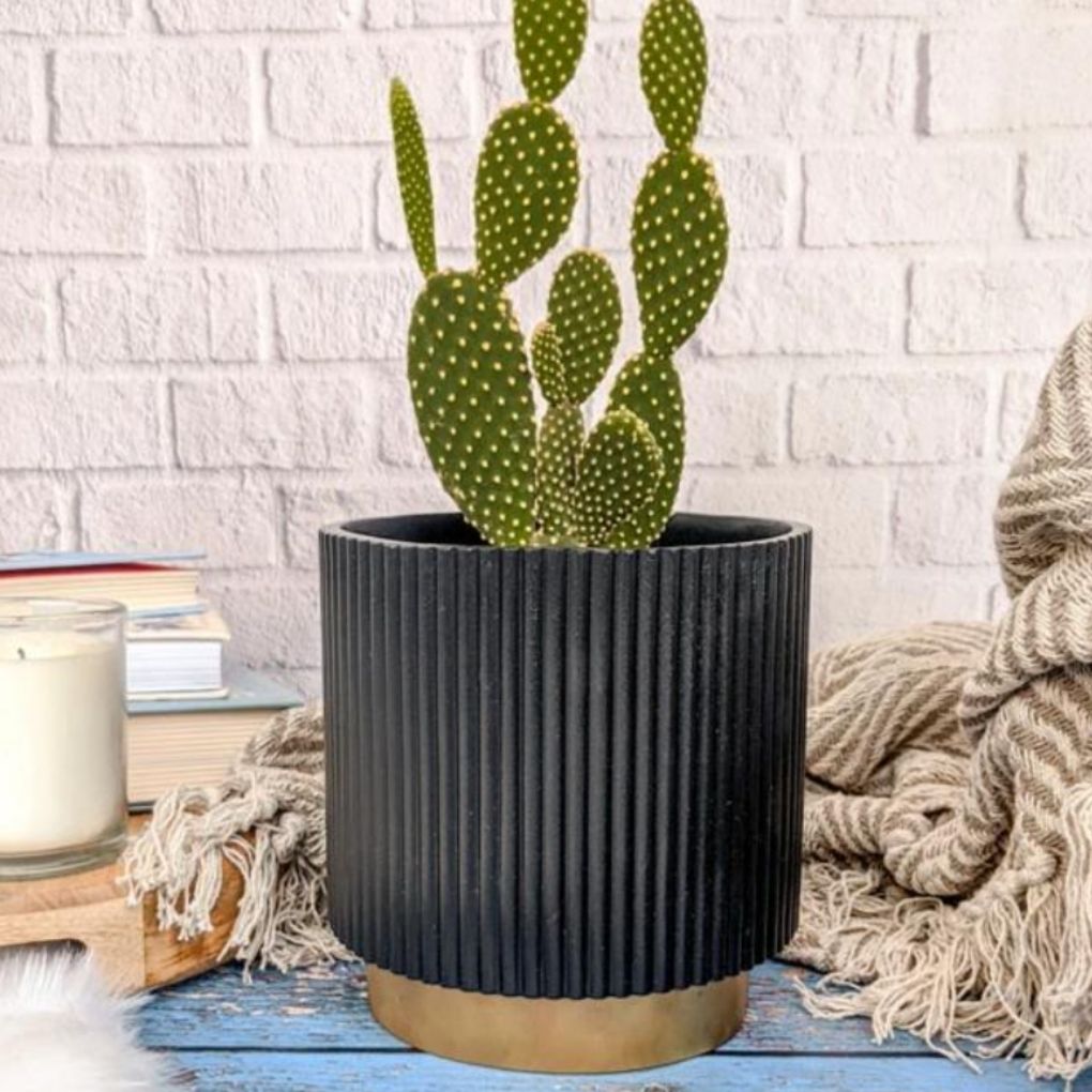 Small Fluted Planter With Base - Black