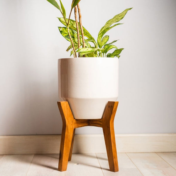 Ceramic Pod Planter With Wooden Stand
