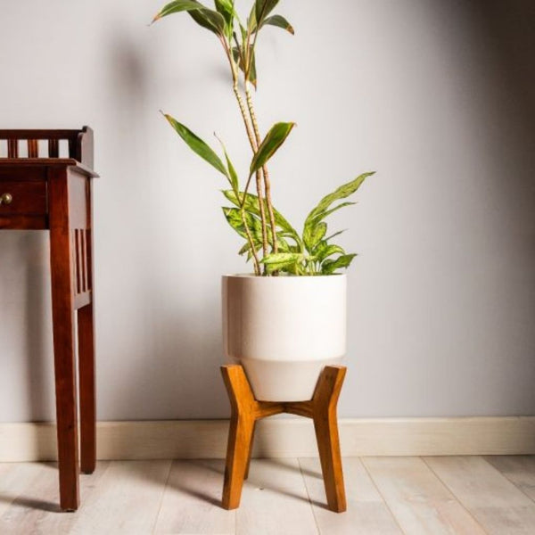Ceramic Pod Planter With Wooden Stand