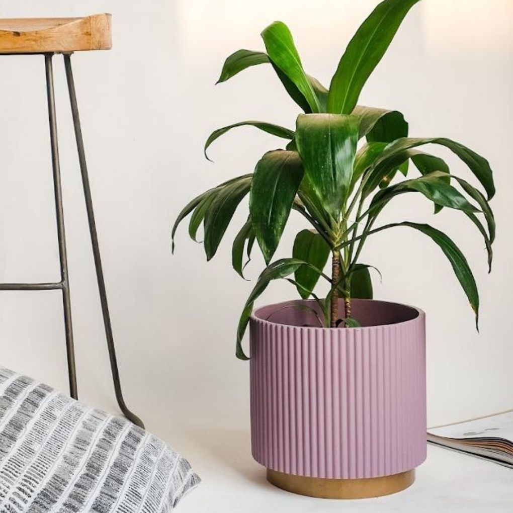 Medium Fluted Planter With Base