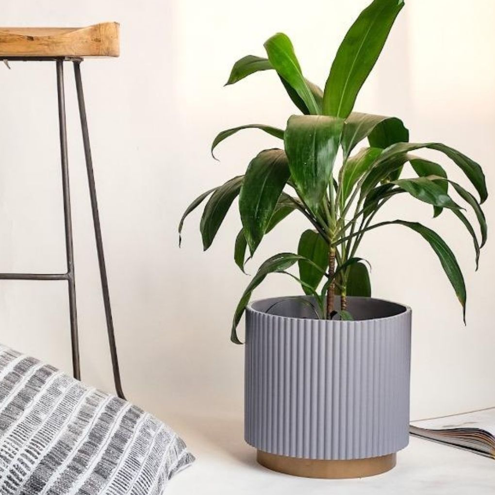 Medium Fluted Planter With Base - Grey