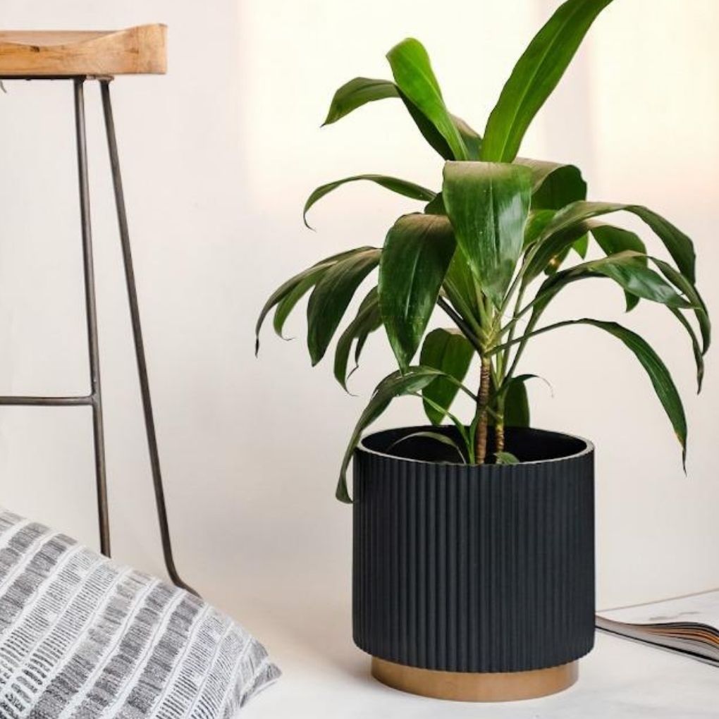 Medium Fluted Planter With Base
