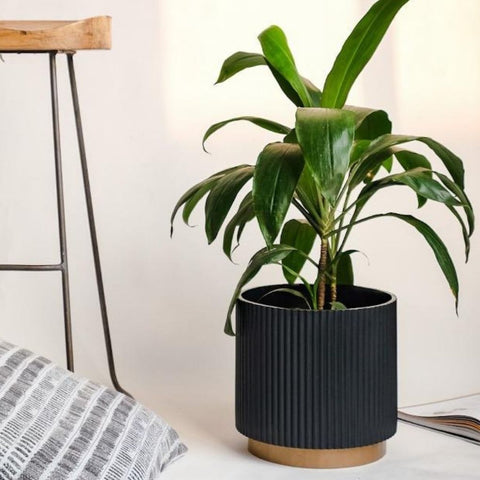 Medium Fluted Planter With Base - Black