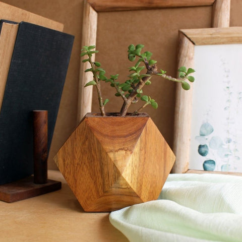 Faceted Cube Wooden Desktop Planter