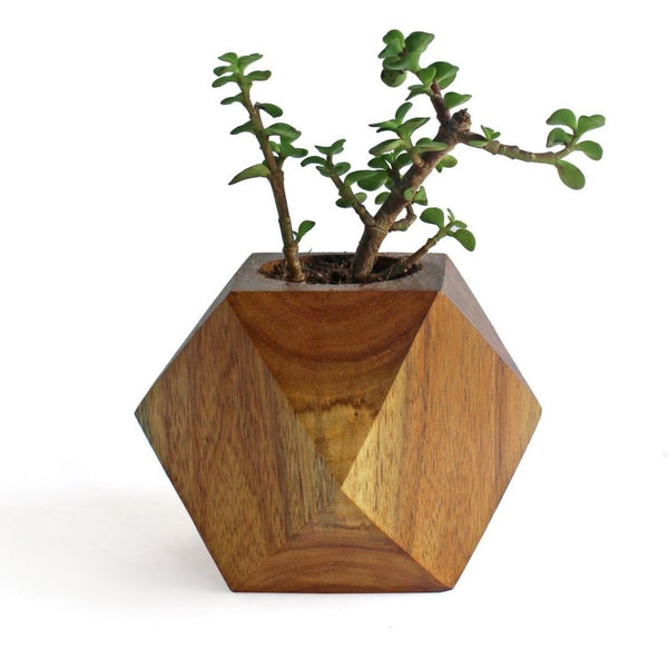 Faceted Cube Wooden Desktop Planter