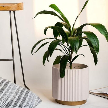 Medium Fluted Planter With Base