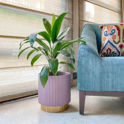 Medium Fluted Planter With Base