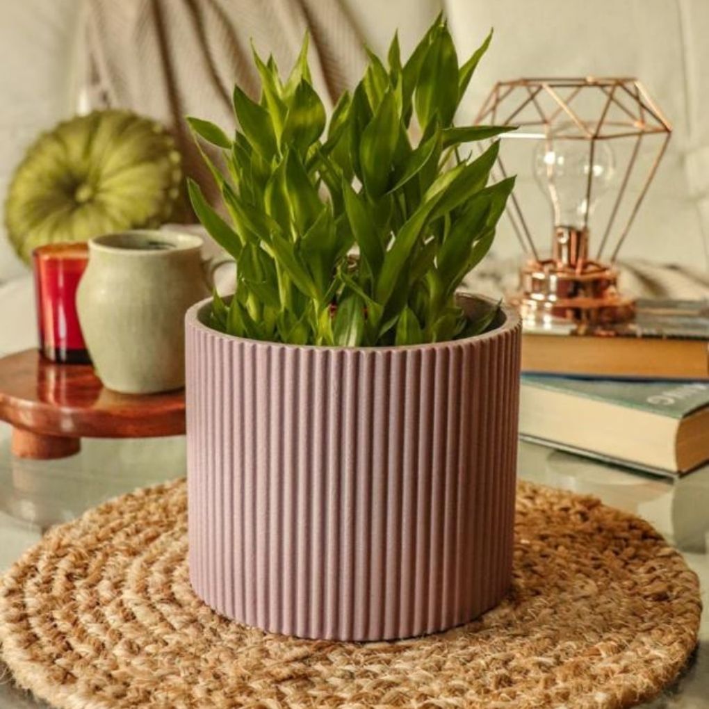Small Fluted Planter