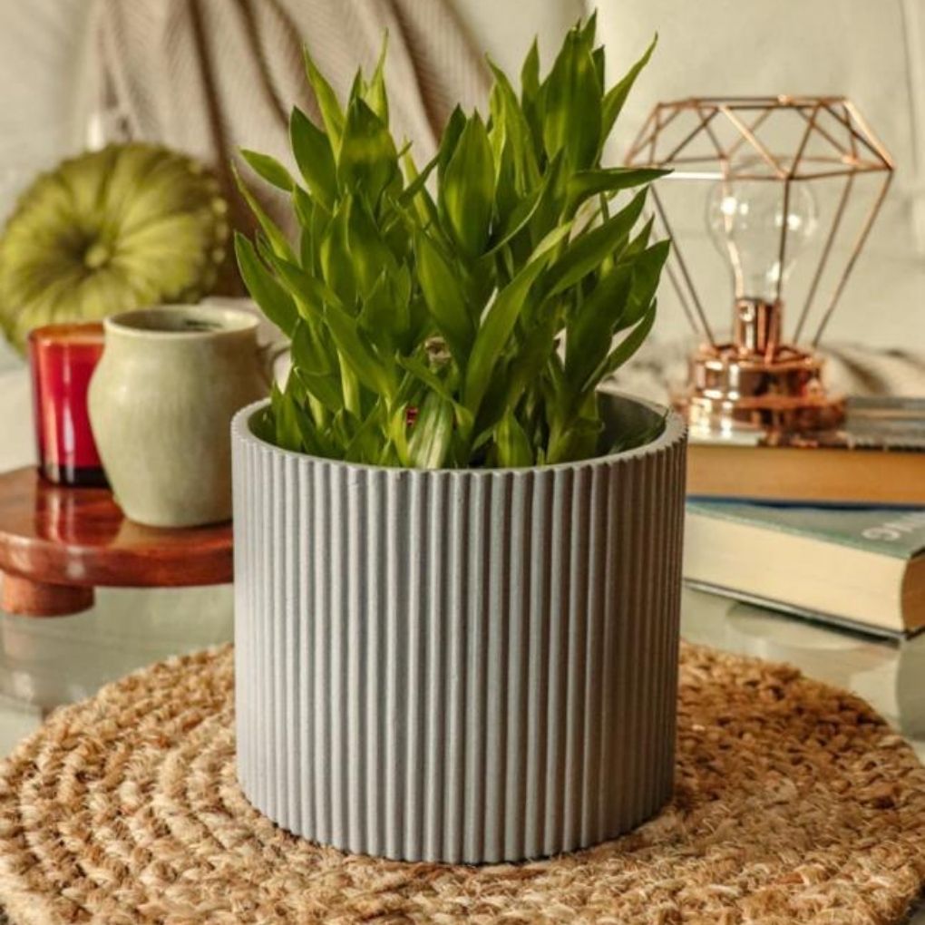 Small Fluted Planter - Grey