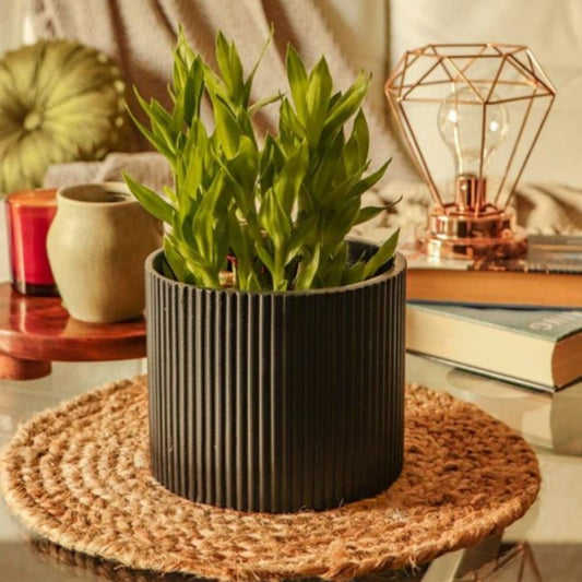 Small Fluted Planter - Black