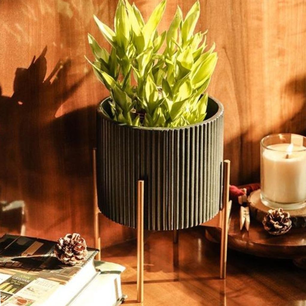 Small Fluted Planter With Stand - Black