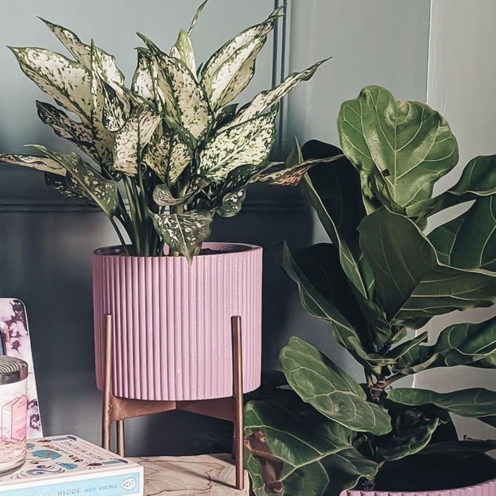 Small Fluted Planter With Stand