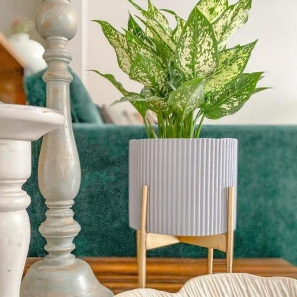 Small Fluted Planter With Stand - Grey